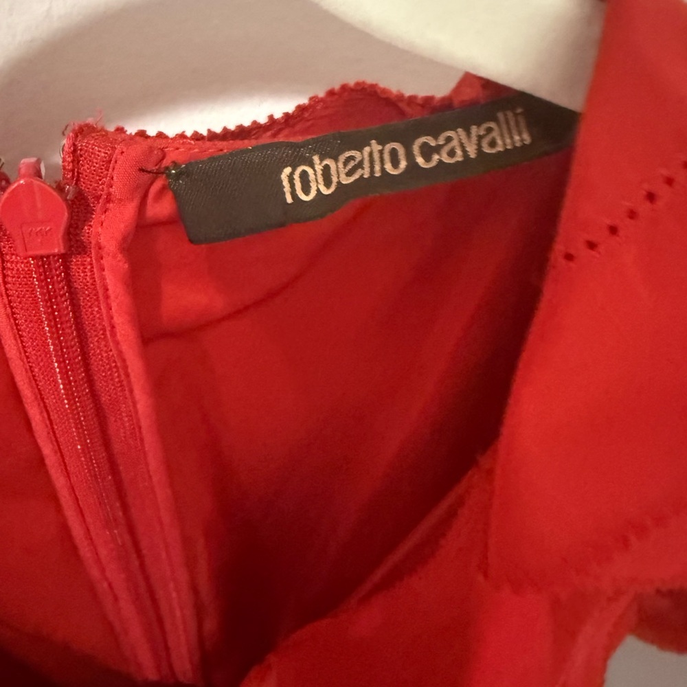 Roberto Cavalli Vibrant Red Dress - Picture 6 of 7